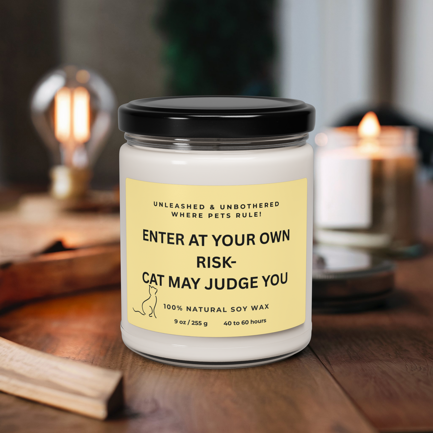 Soy Candle, Whimsical Cat Theme, Cozy Home Decor, Cat Lover Gift, Unique Pet Owner Gift Idea, 9oz Candle, Cat May Judge, Enter at Your Own